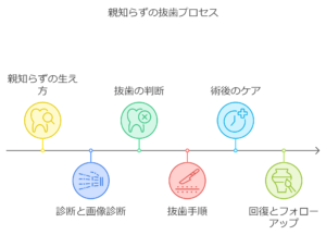 親知らずの抜歯プロセス｜国領・あおぞら歯科クリニック