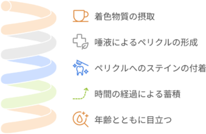 歯の着色・くすみ・黄ばみ　ステインとは？｜国領の歯医者、あおぞら歯科クリニック