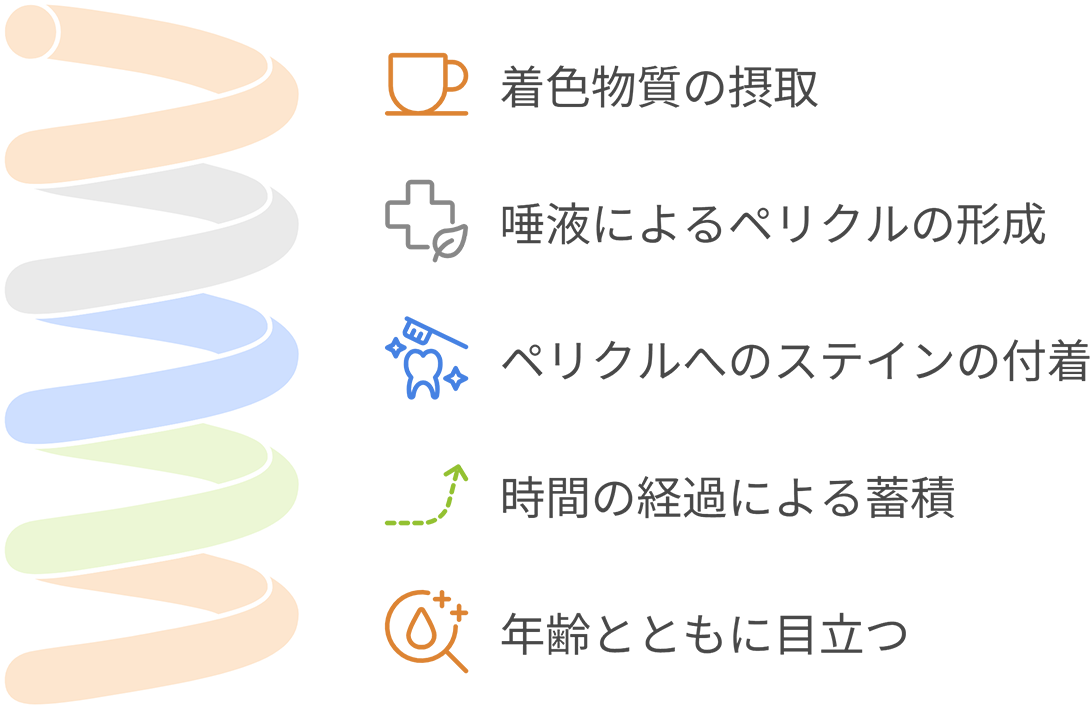 歯の着色・くすみ・黄ばみ ステインとは?|国領の歯医者、あおぞら歯科クリニック