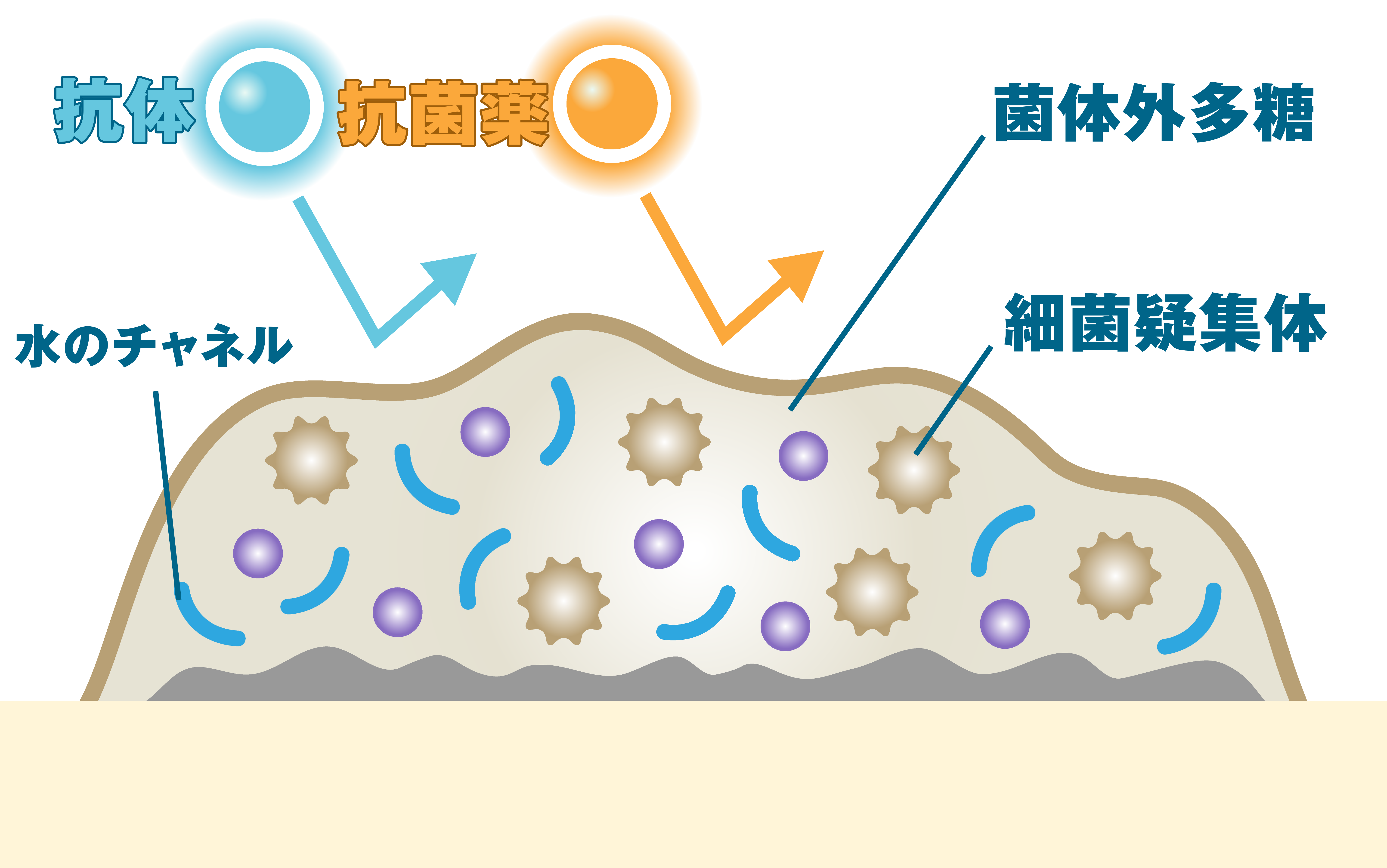 プラークとは・国領あおぞら歯科